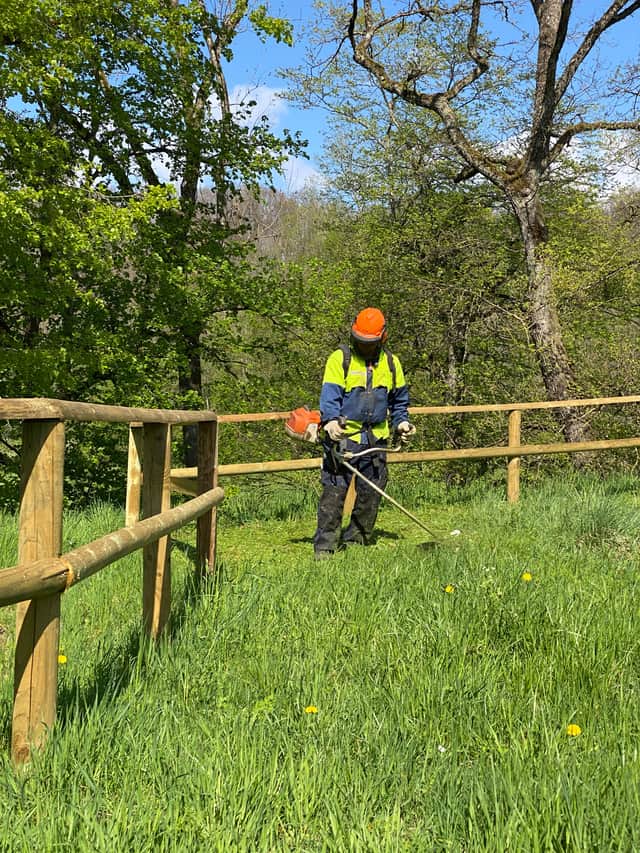 Freischneiderarbeiten auf dem Kapf