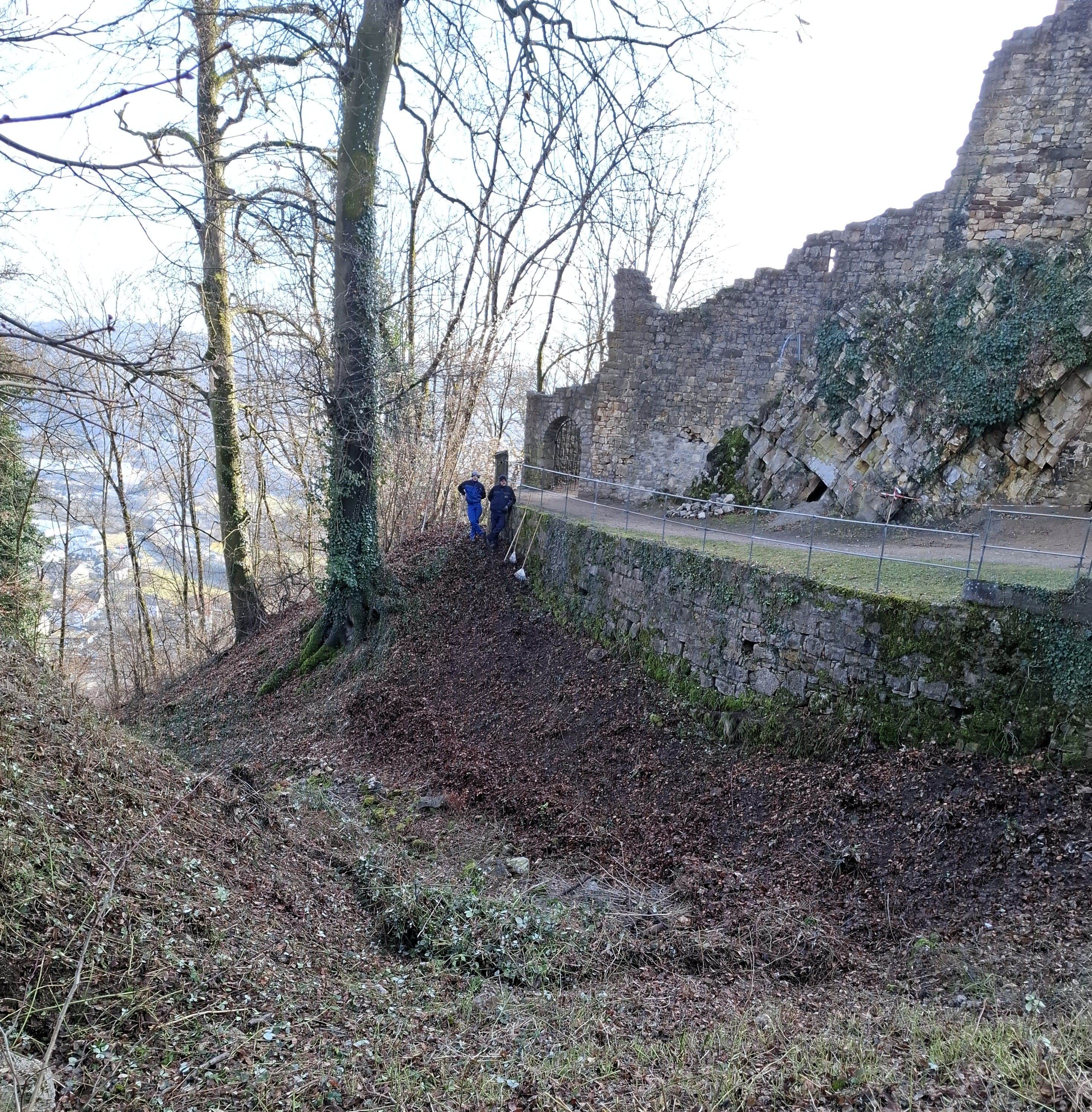 Der sogenannte Halsgraben auf der Nordseite der Burg im späten Herbst.
